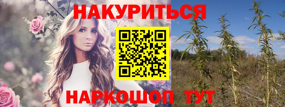 Каннабис индика  Марихуана тримм  Вход с VPN  Качканар  Шишки марихуана THC 21%  Марихуана сатива 